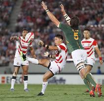 Rugby: Japan-S. Africa World Cup warm-up match