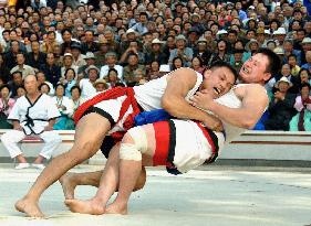 1-ton bull given to winner of wrestling tourney in N. Korea