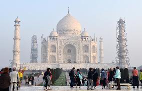 Green substance affecting exterior of Taj Mahal