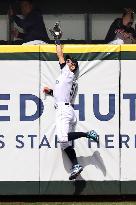 Mariners' Ichiro