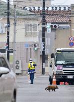 Evacuation order in Fukushima town to be lifted