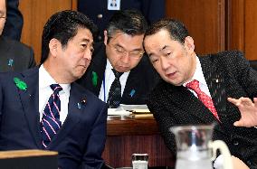 Abe at lower house judicial affairs committee