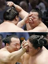 Scenes of Sumo