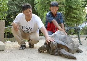 Missing giant tortoise found in mountains in Japan