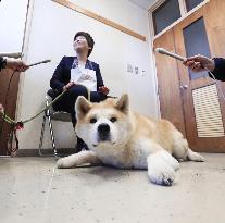 Dog, owner save old woman in Japan's Akita