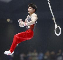 Gymnastics: Japan all-round title