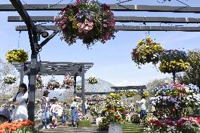 Flower exhibition begins at Hanakairo in western Japan