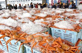 Red snow crabs landed