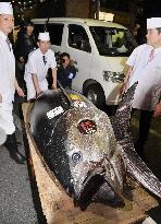 Tuna auction in Tokyo