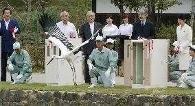 Artificially bred storks released into wild for 1st time anywher