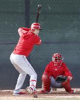 Baseball: Angels' Shohei Ohtani