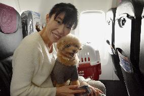 Dogs allowed to fly in cabin with their owners on JAL tour