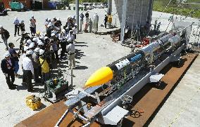 Privately developed rocket revealed