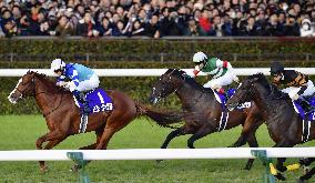 Cheval Grand wins Japan Cup