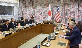 Kono-Tillerson meeting