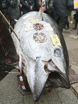 Tsukiji fish market holds final New Year auction