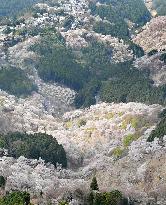 Mt. Yoshino in Nara