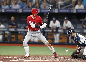 Baseball: Angels v Rays