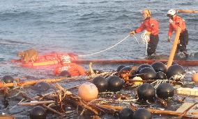 Dog drifting atop roof rescued