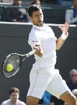 Sam Querrey knocks Novak Djokovic out of Wimbledon tennis