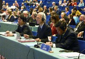 Japan's return to "research whaling" in spotlight as IWC meeting opens