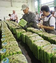 Shipments of cube-shaped watermelons begin in western Japan