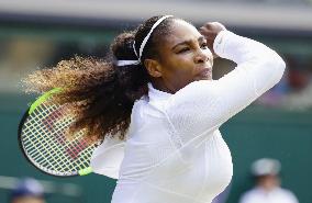 Tennis: Women's singles semifinals at Wimbledon