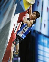 Sport climbing: Japan's Harada wins 1st bouldering title at climbing worlds