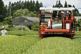 Unmanned tea-picking machine