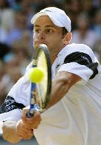 Roddick marches into final at Wimbledon