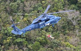 Wreckage of crashed SDF jet found on Kagoshima mountain