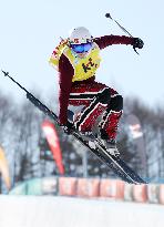 Skiing: Martinod claims victory in women's halfpipe event