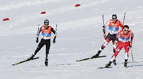 Nordic combined: Normal hill event at worlds