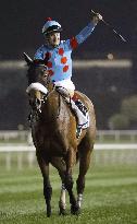 Horse racing: Almond Eye's Dubai Turf victory