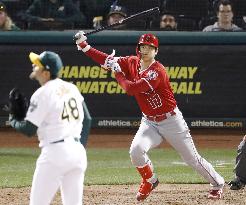 Baseball: Angels v Athletics