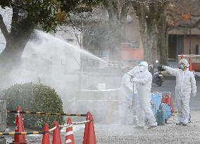 Swan tests positive for bird flu virus at Nagoya zoo