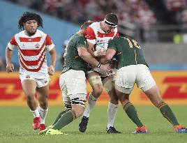 Rugby World Cup in Japan: Japan v South Africa