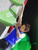 World Cup sport climbing in Munich