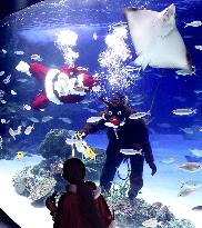 Christmas show at aquarium