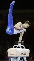 Artistic Gymnastics: world championships