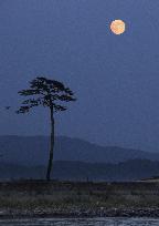 Harvest moon in disaster-hit Iwate