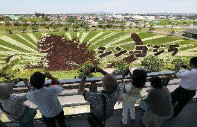 Picture of Godzilla created in northern Japan paddy