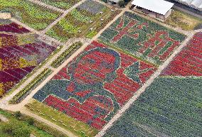 Flower art depicts Obama, paper crane, Atomic Dome