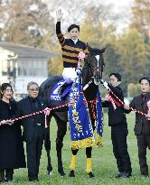 Arima Kinen horserace