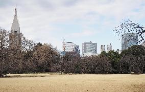 Shinjuku Gyoen national garden in Tokyo