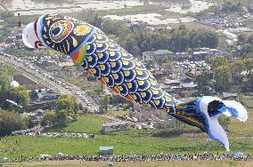 Jumbo carp streamer hoisted in Kazo, Saitama Prefecture