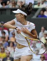 Pironkova vs Zvonareva at Wimbledon semifinals