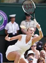 Tennis: Wimbledon championships