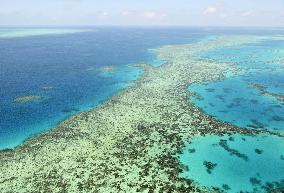 The Great Barrier Reef