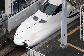 Shinkansen bullet train kills man on tracks